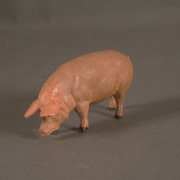 Cerdo doméstico de Lineol....